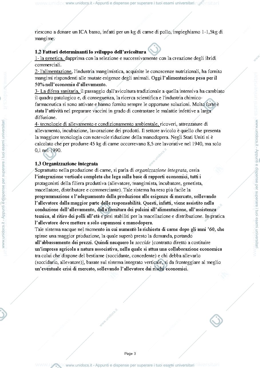 Anteprima pagina 3 — Zoocolture 