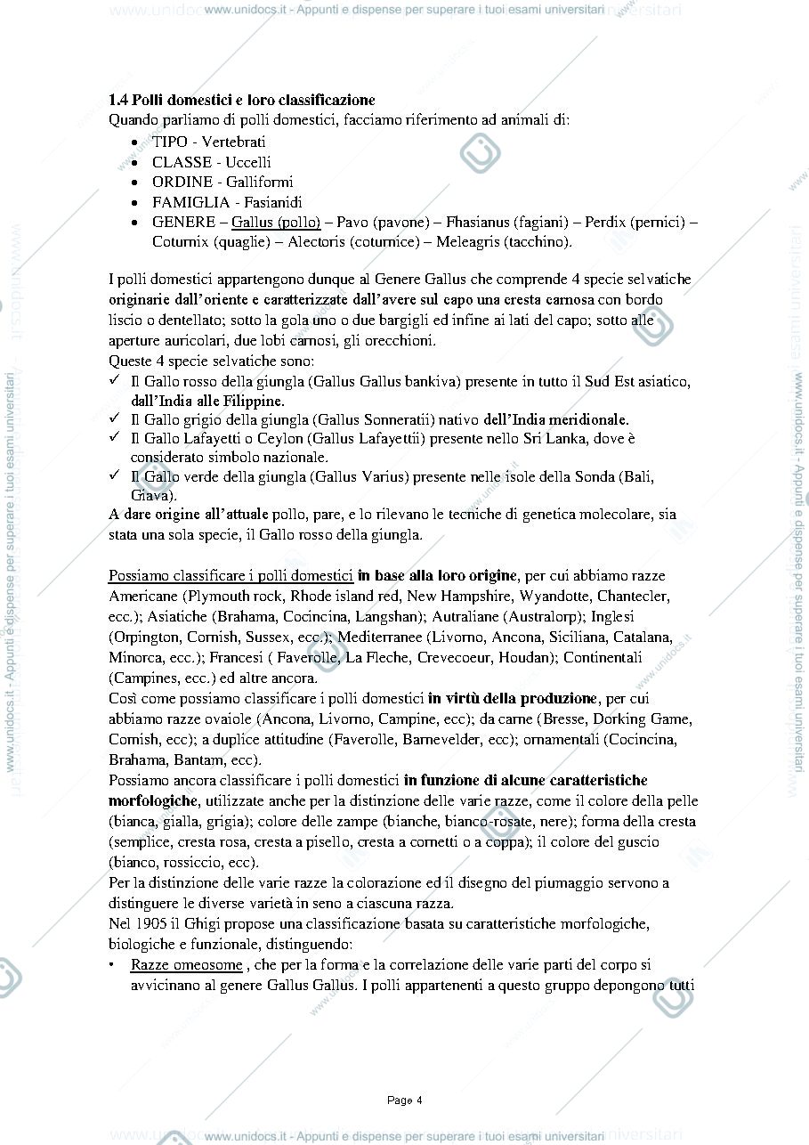 Anteprima pagina 4 — Zoocolture 