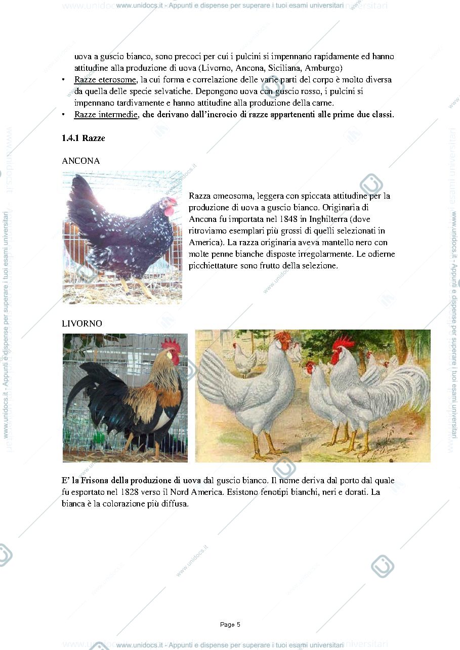 Anteprima pagina 5 — Zoocolture 