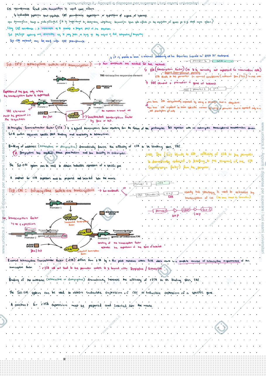 Anteprima pagina 1 — Inducible systems
