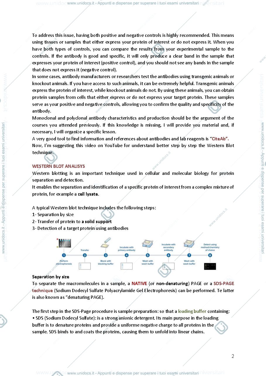 Anteprima pagina 2 — Advanced cell biology and biotechnology 