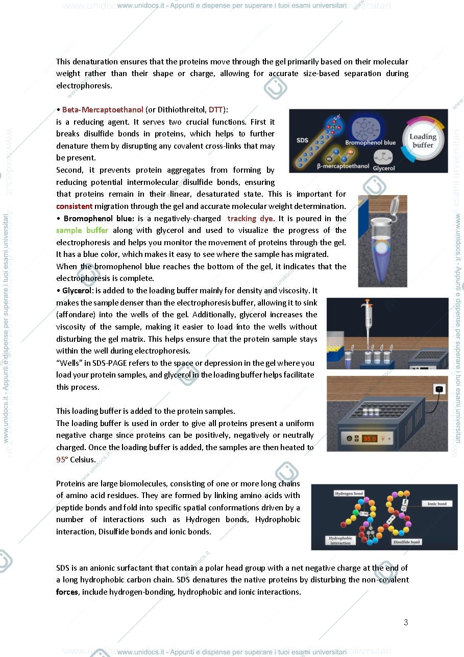 Anteprima pagina 3 — Advanced cell biology and biotechnology 