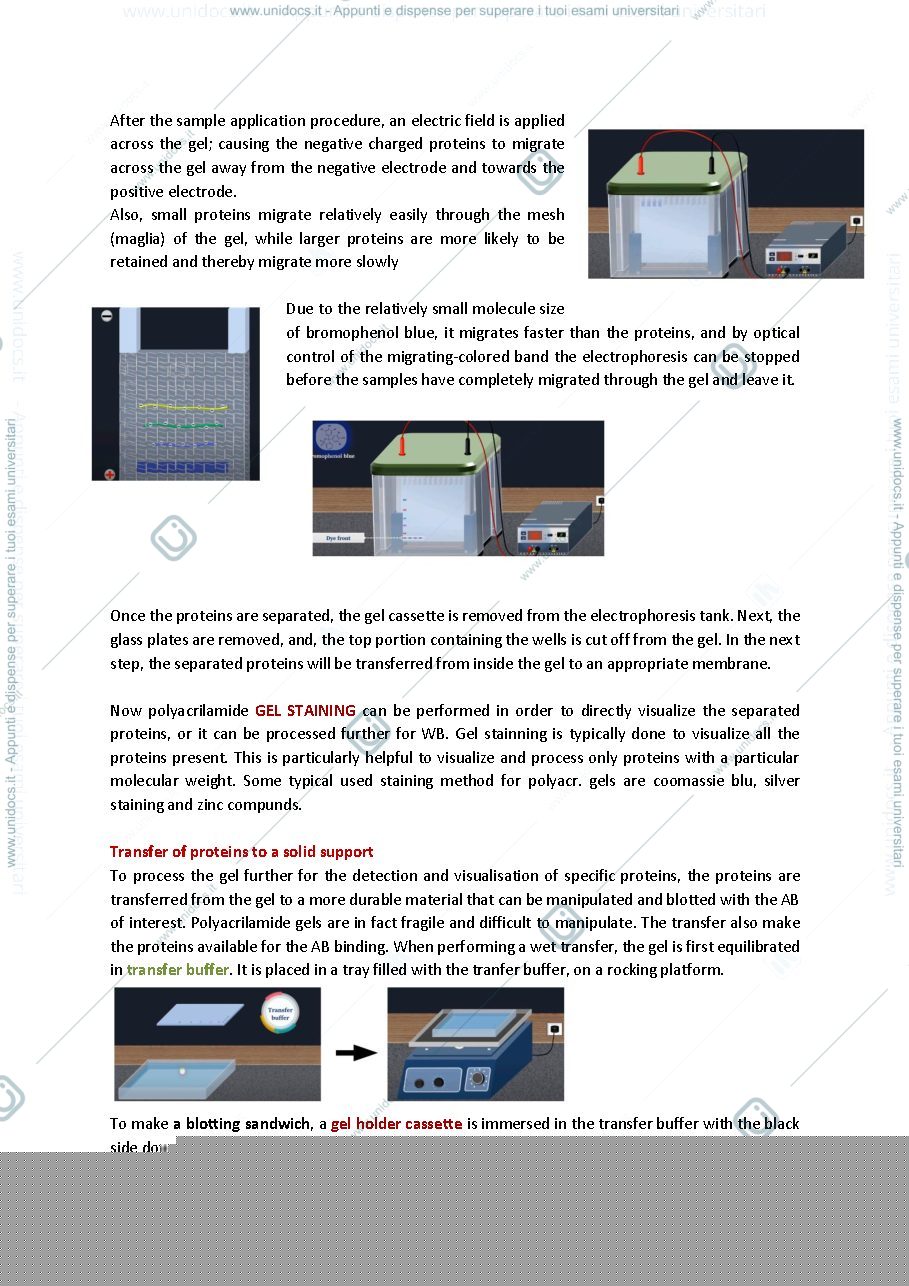 Anteprima pagina 5 — Advanced cell biology and biotechnology 