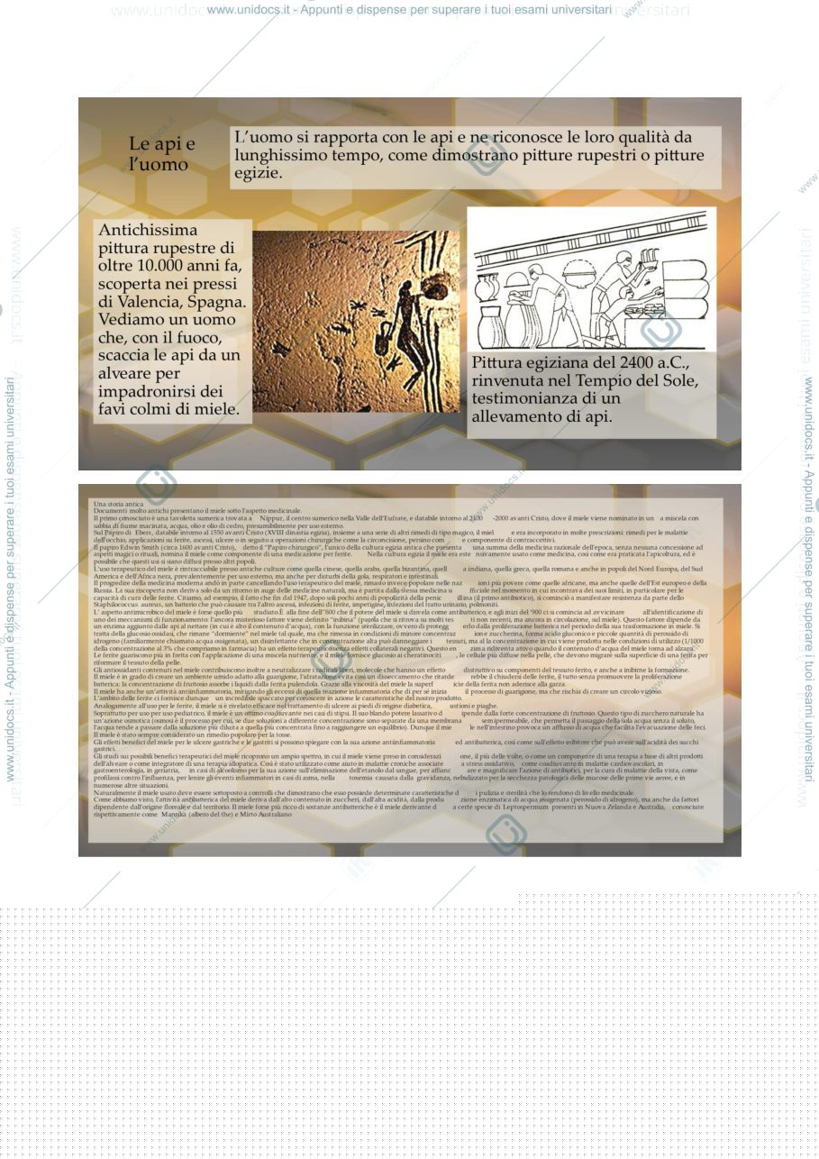 Anteprima pagina 1 — introduzione all'apicoltura