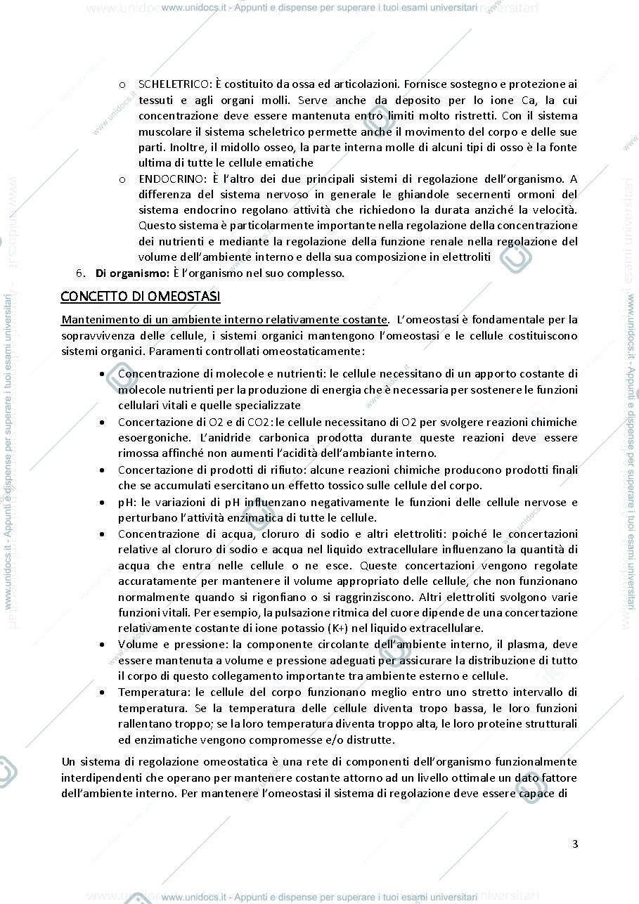 Anteprima pagina 3 — Fisiologia apparato digerente