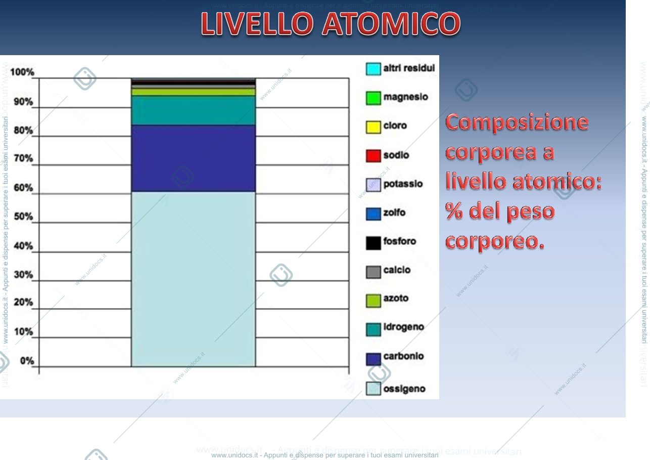 Anteprima pagina 3 — Composizione corporea - BMI