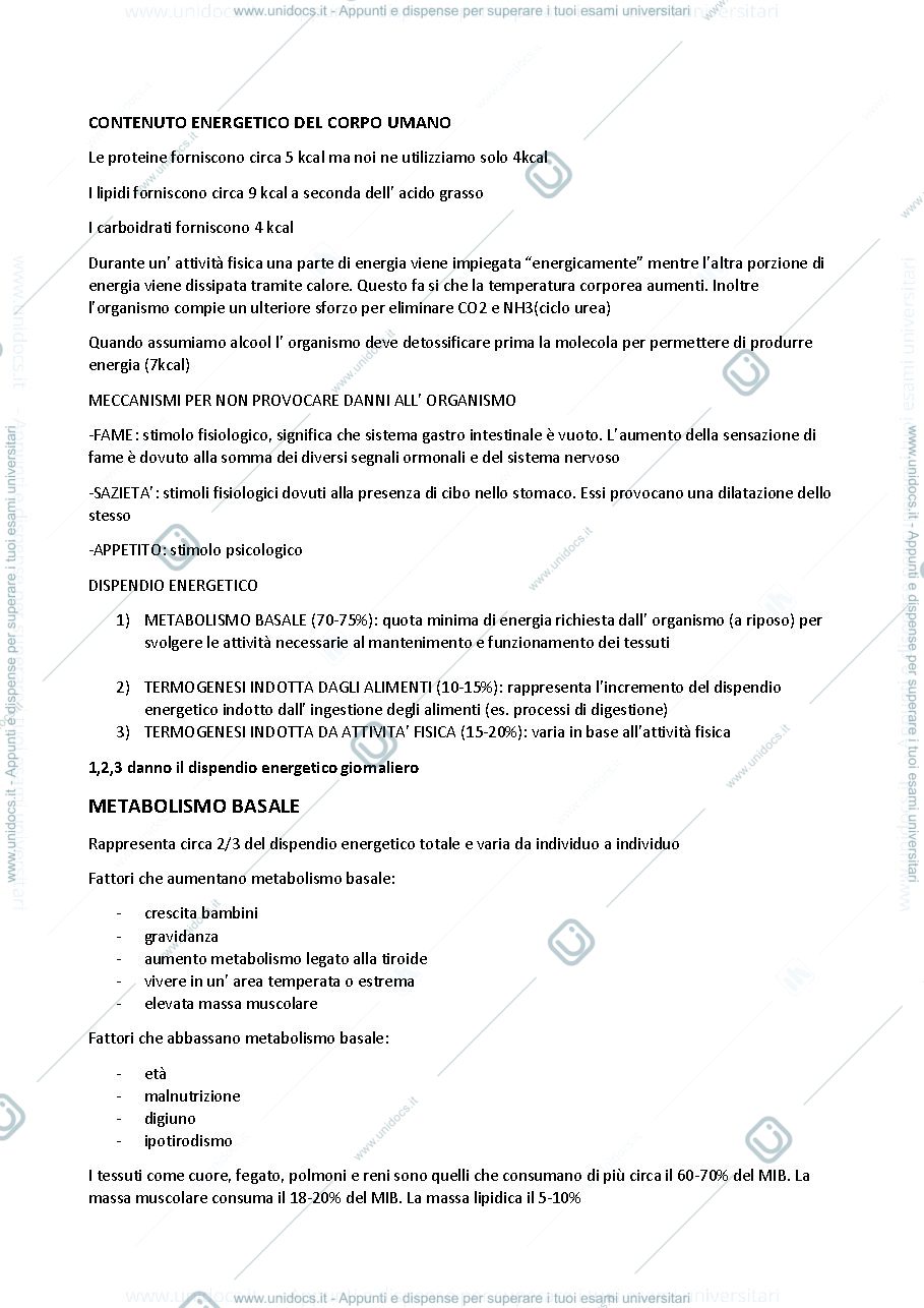 Anteprima pagina 3 — riassunti alimentazione e nutrizione umana