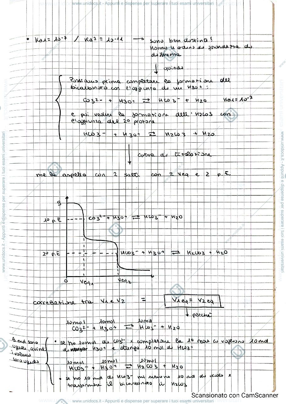 Anteprima pagina 2 — Acidimetria
