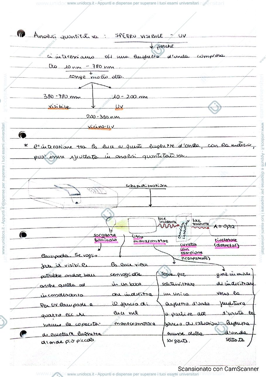 Anteprima pagina 2 — Spettrofotometria