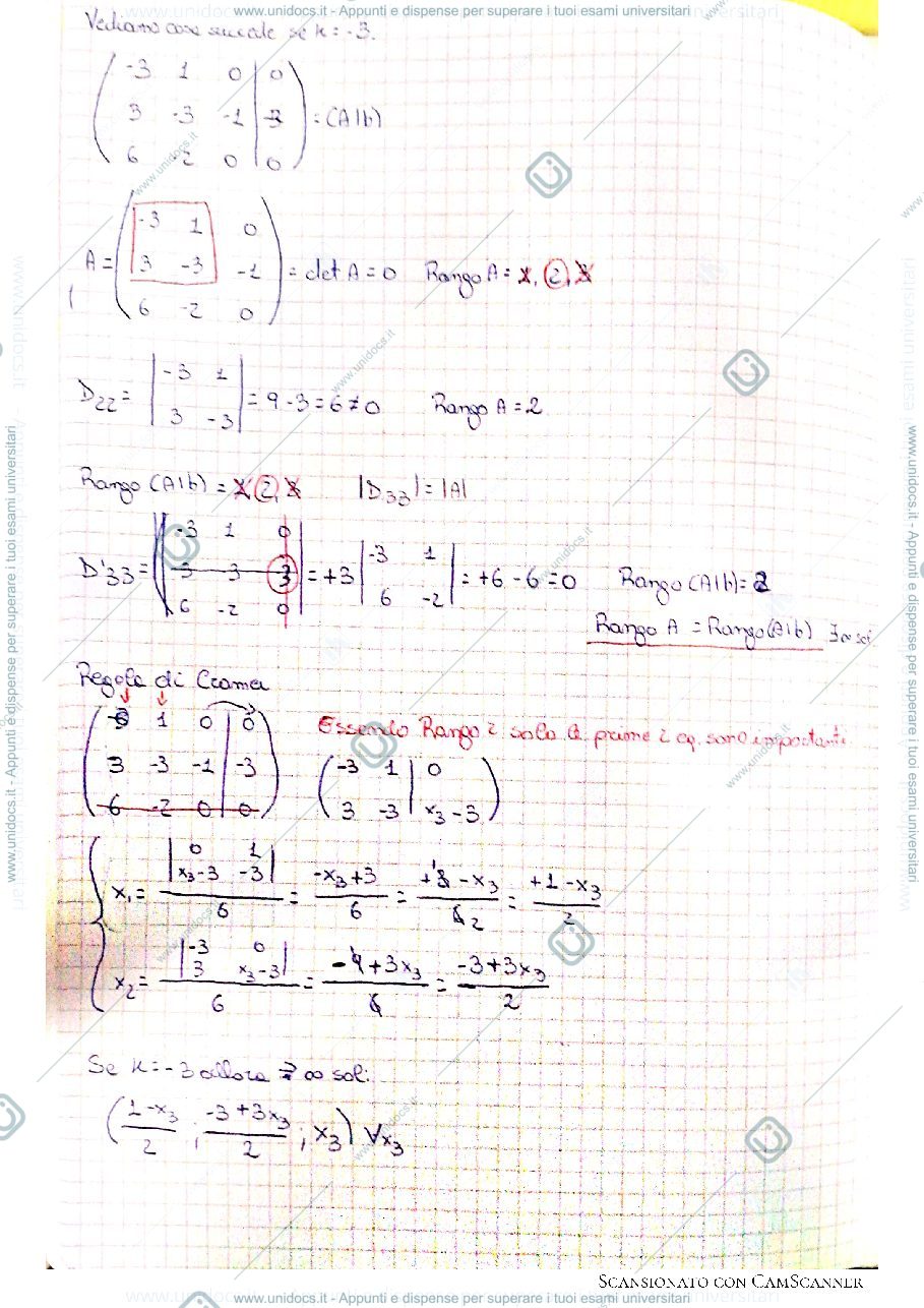 Anteprima pagina 2 — Esercitazione funzioni, matrici e soluzione banale