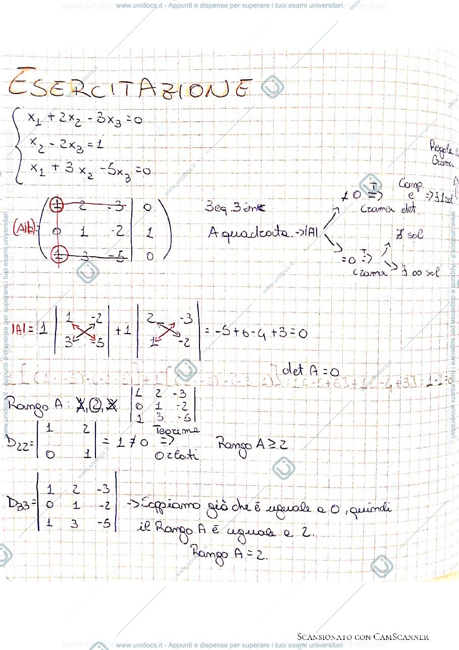 Anteprima pagina 1 — MATEMATICA: Esercitazione e matrice con K