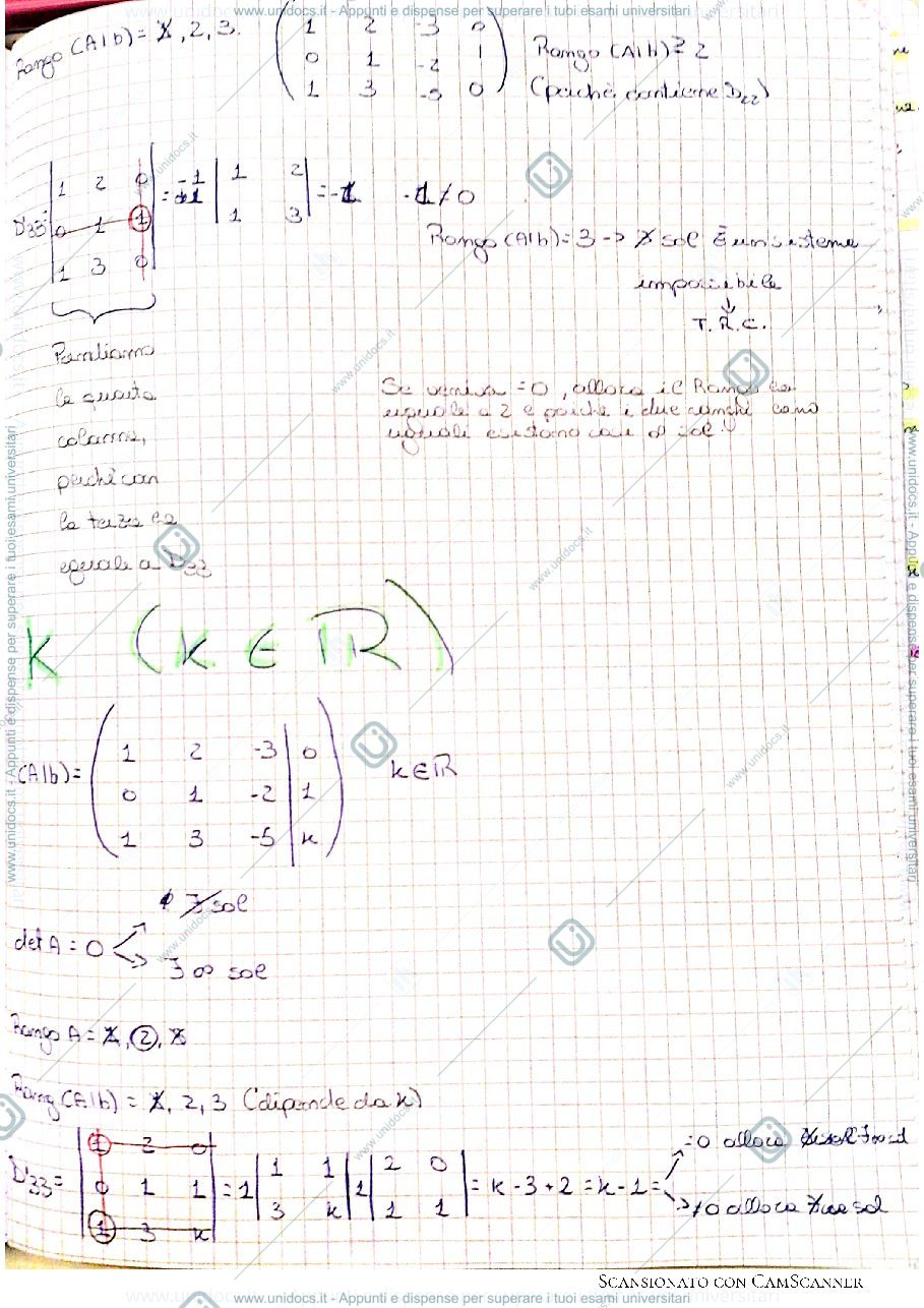 Anteprima pagina 2 — MATEMATICA: Esercitazione e matrice con K