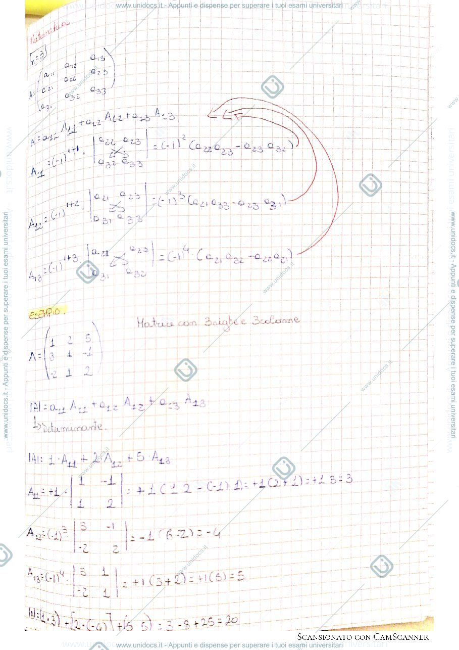 Anteprima pagina 1 — Determinante e teorema degli orlati