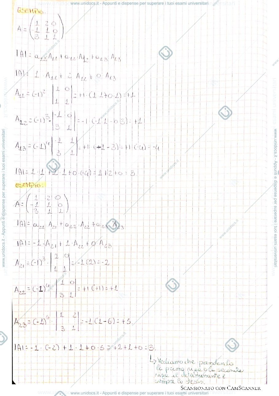 Anteprima pagina 2 — Determinante e teorema degli orlati