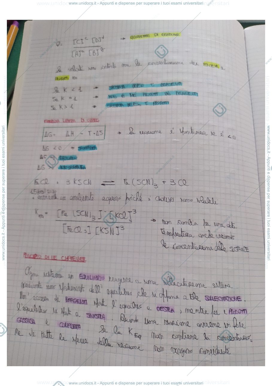 Anteprima pagina 2 — equilibri di base 