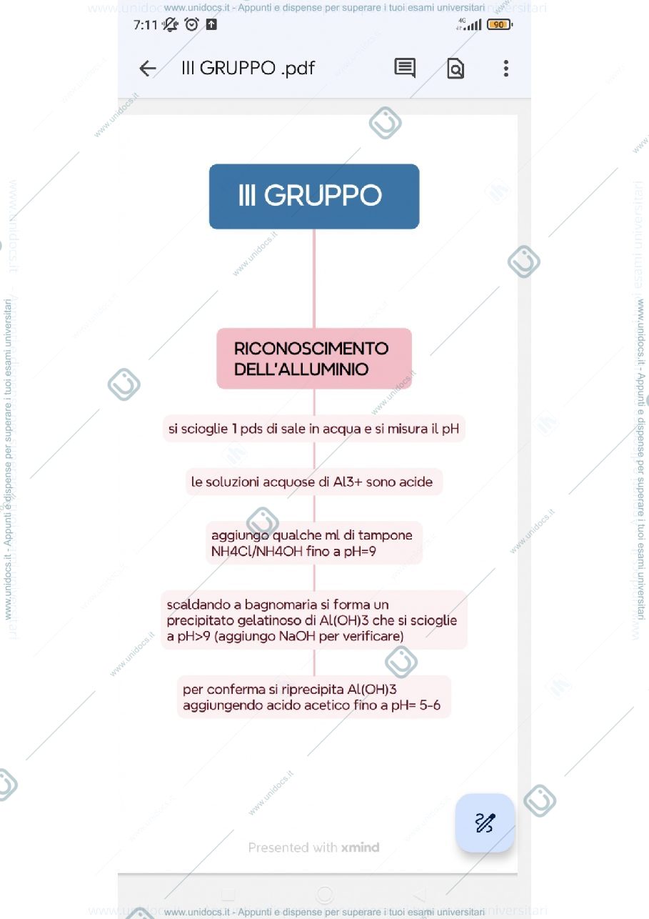 Anteprima pagina 1 — Schema