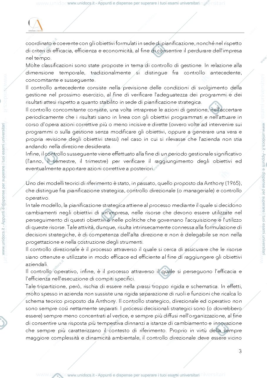 Anteprima pagina 3 — Controllo di gestione