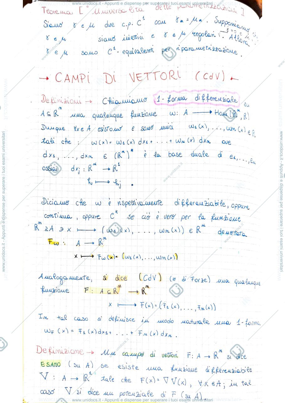 Anteprima pagina 1 — Campi di vettori