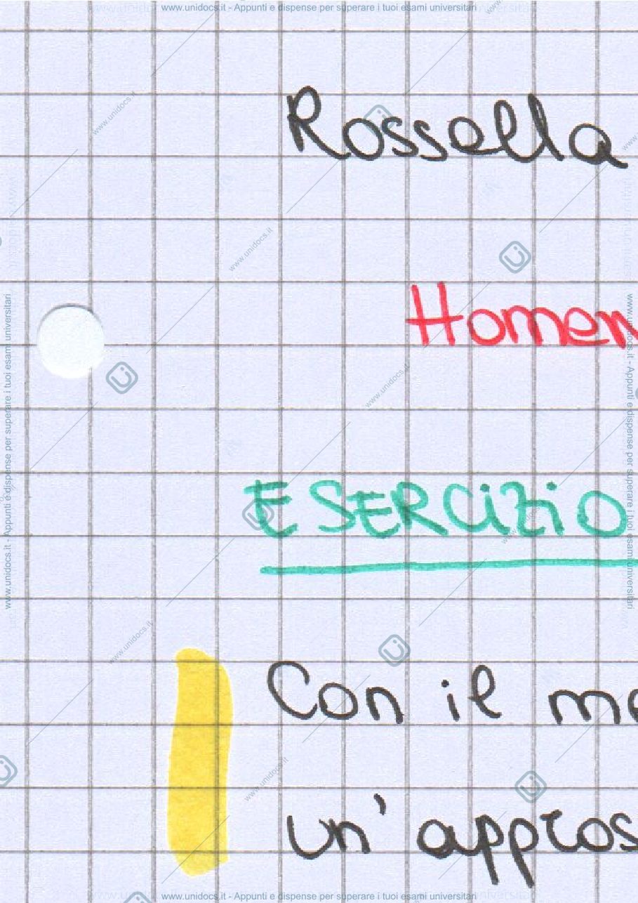 Anteprima pagina 1 — Homework - DERIVAZIONE