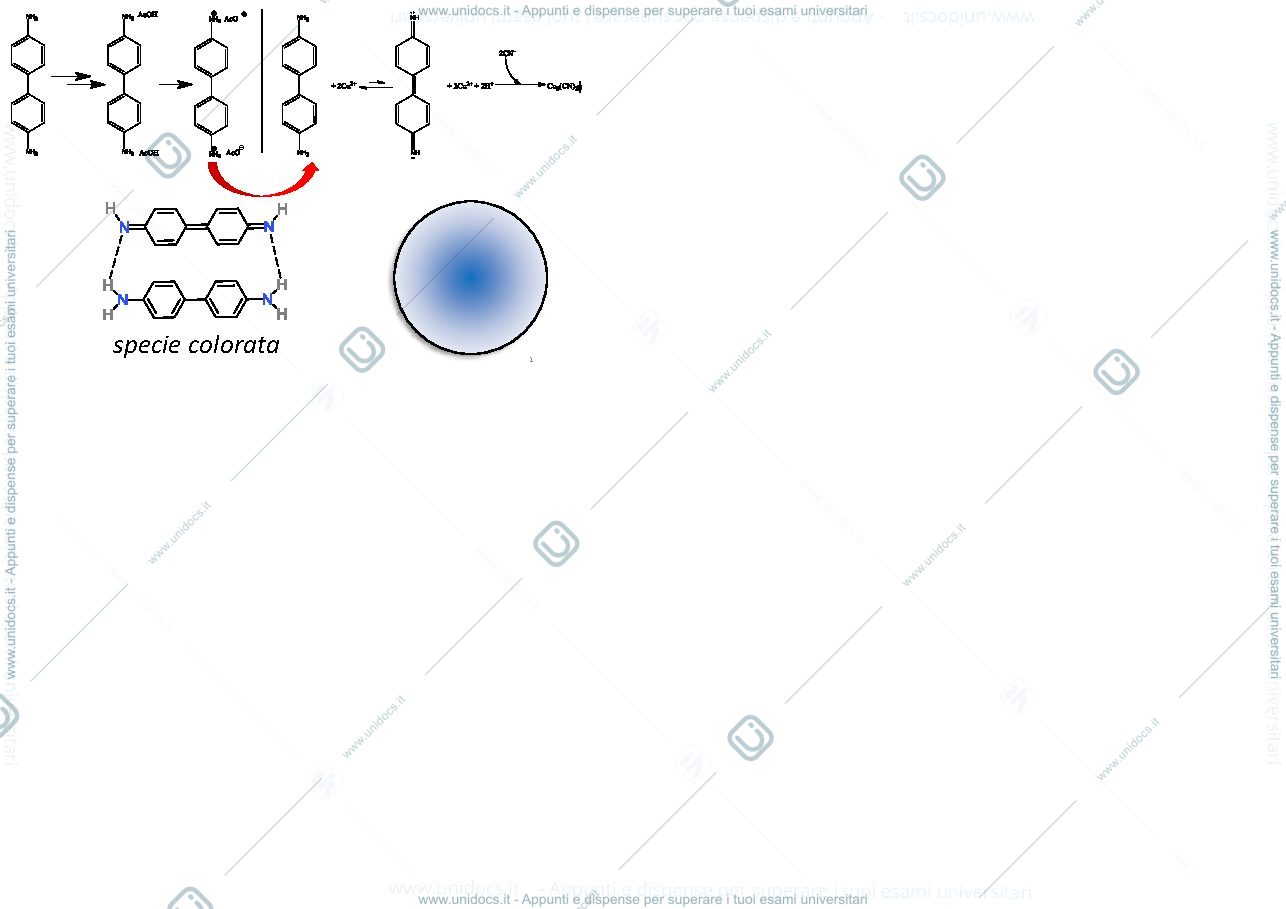 Anteprima pagina 1 — FLASHCARD SAGGI DI RICONOSCIMENTO