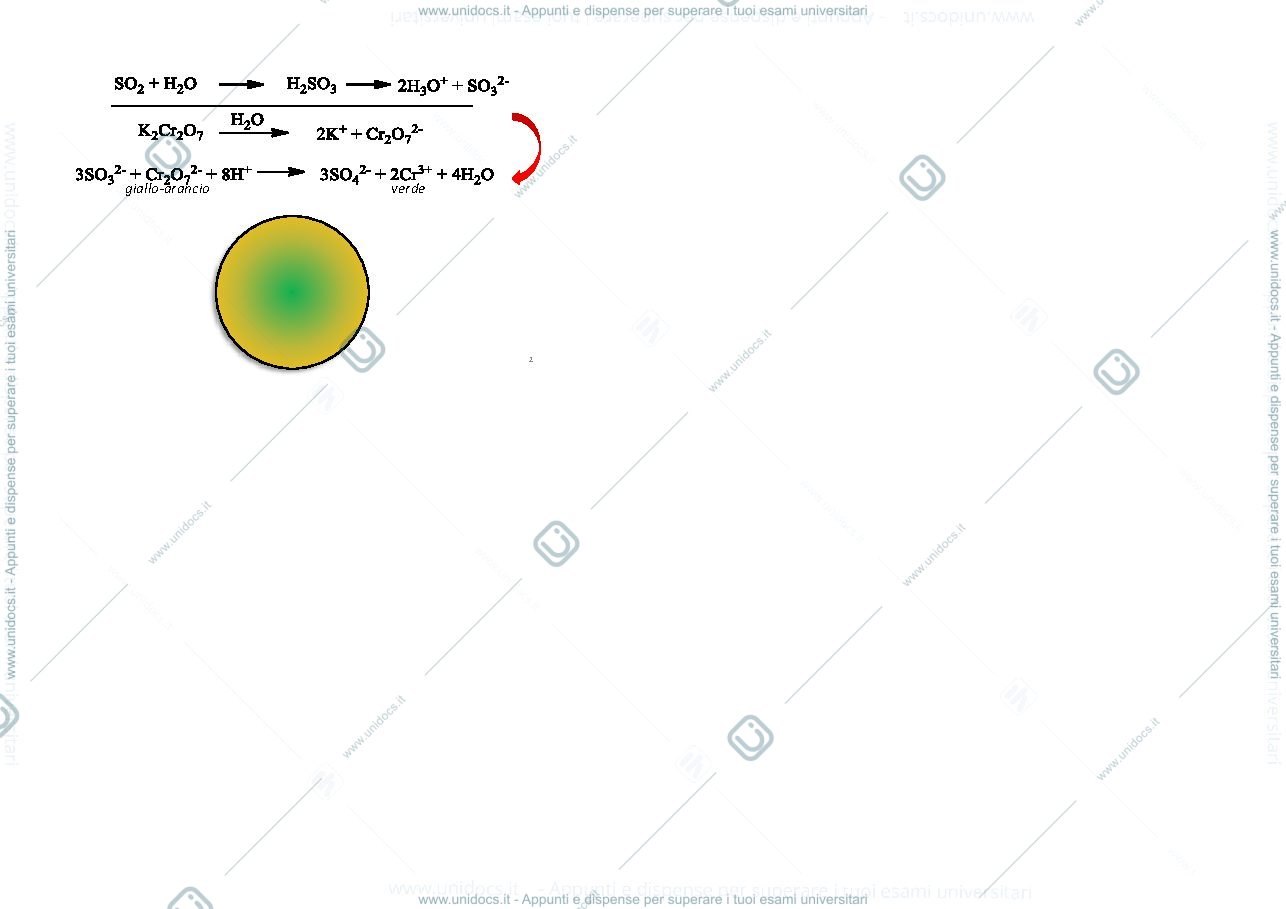 Anteprima pagina 2 — FLASHCARD SAGGI DI RICONOSCIMENTO