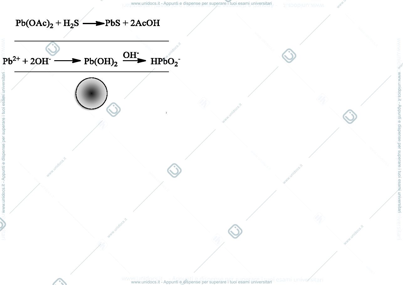 Anteprima pagina 3 — FLASHCARD SAGGI DI RICONOSCIMENTO