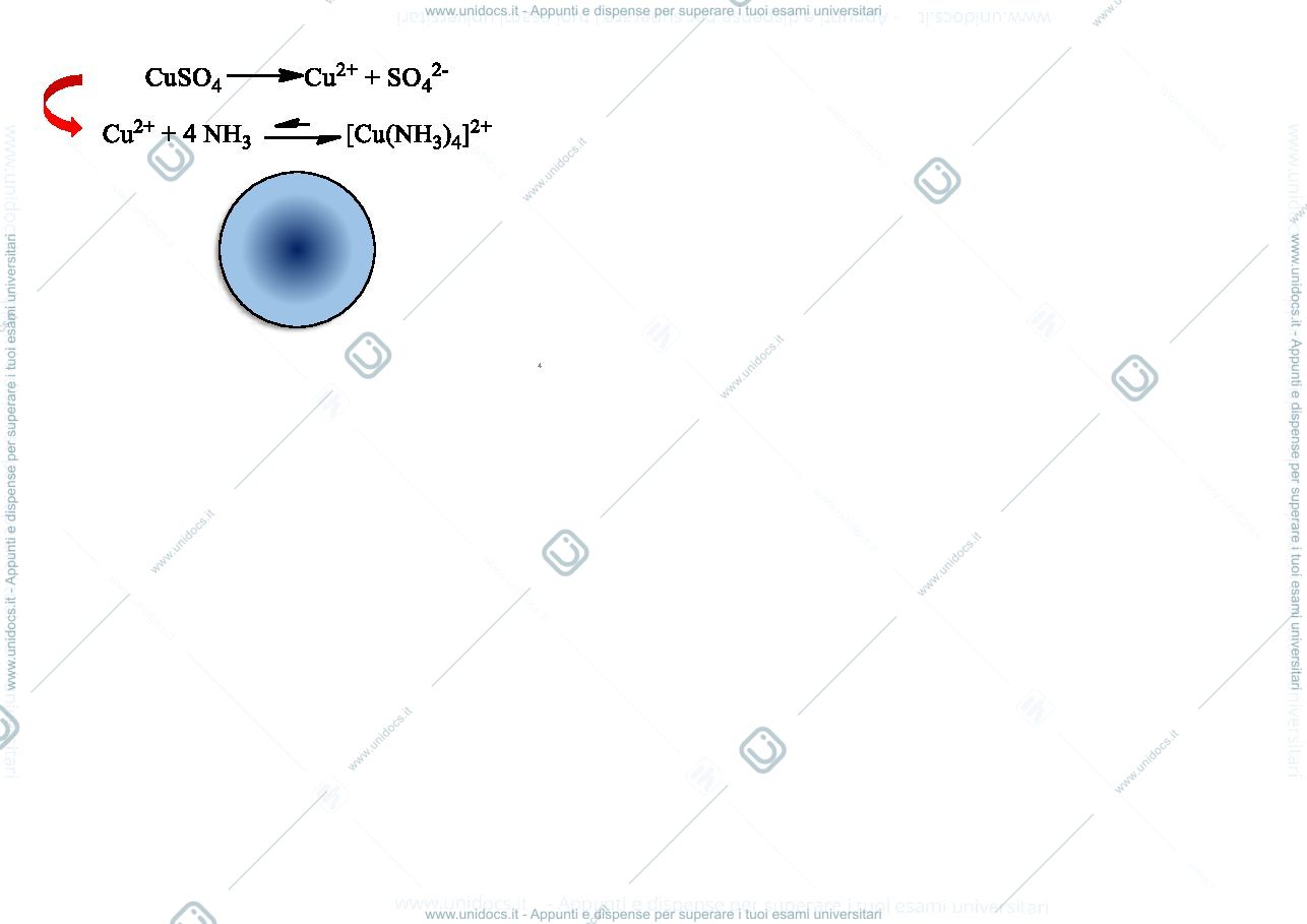 Anteprima pagina 4 — FLASHCARD SAGGI DI RICONOSCIMENTO