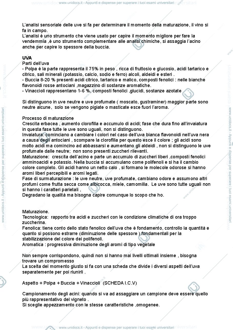 Anteprima pagina 3 — Analisi sensoriale 