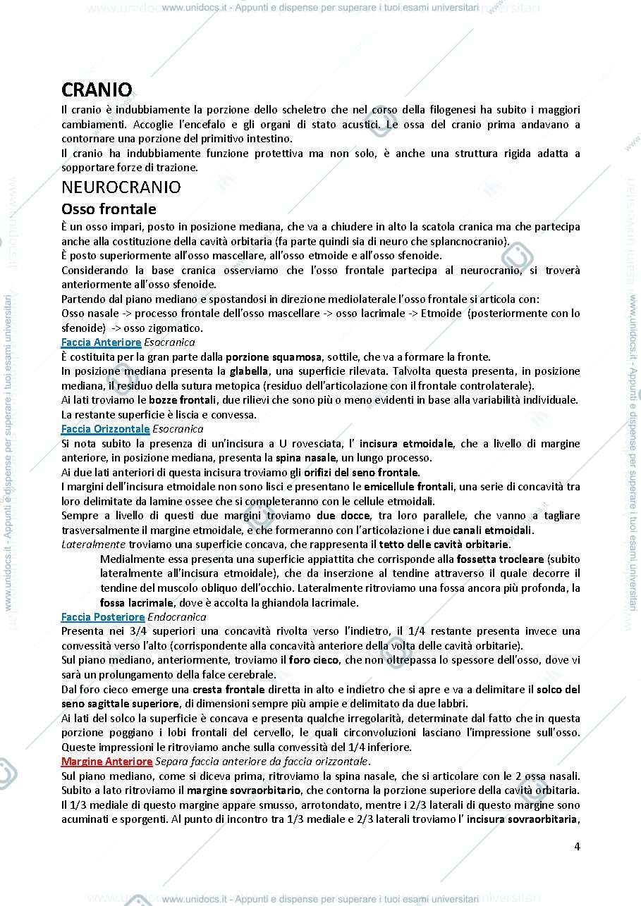 Anteprima pagina 4 — Appunti di genetica