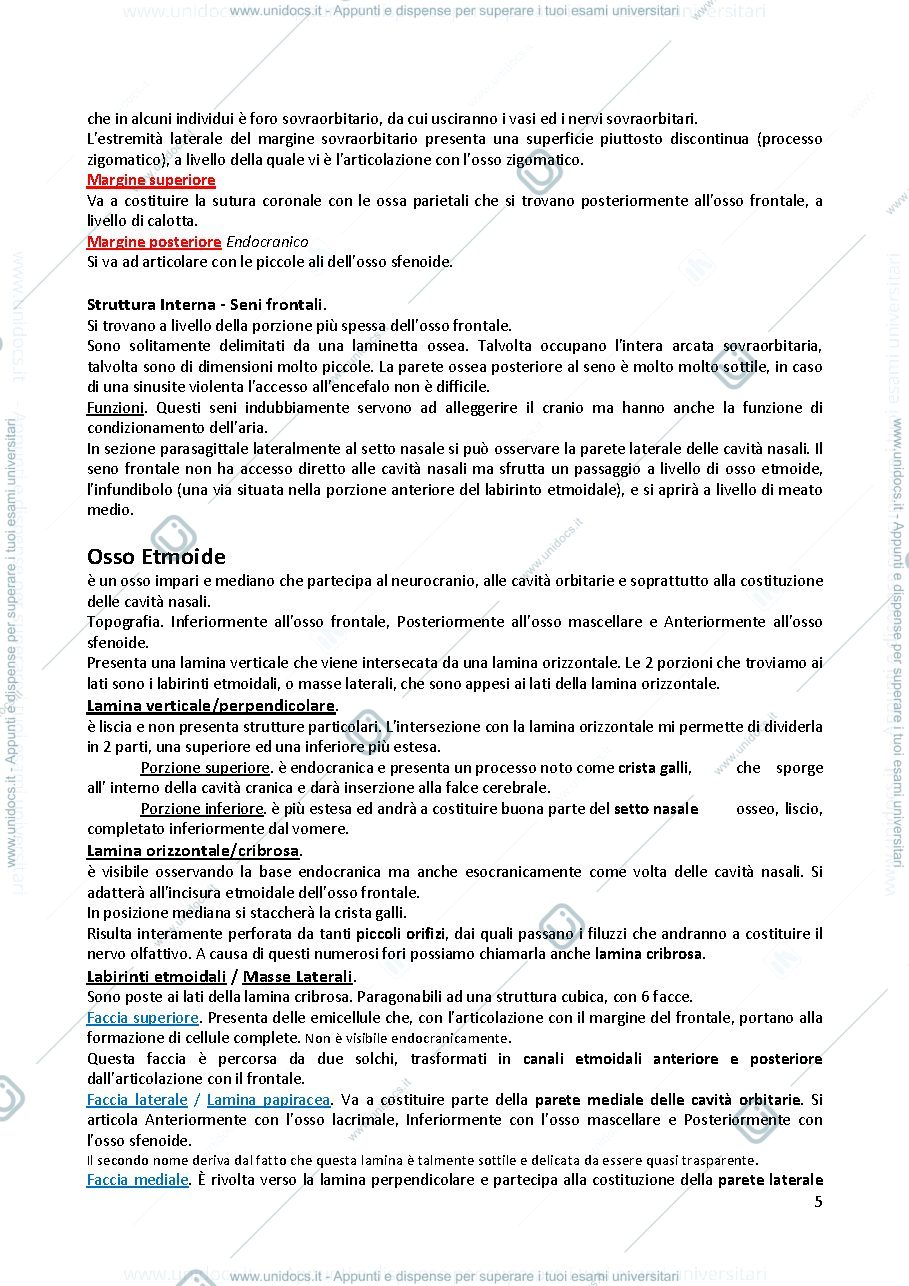 Anteprima pagina 5 — Appunti di genetica