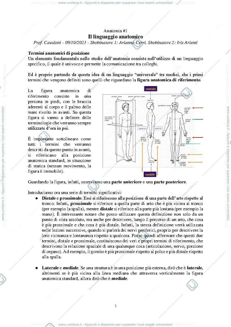 Anteprima pagina 1 — ANATOMIA INTRODUZIONE