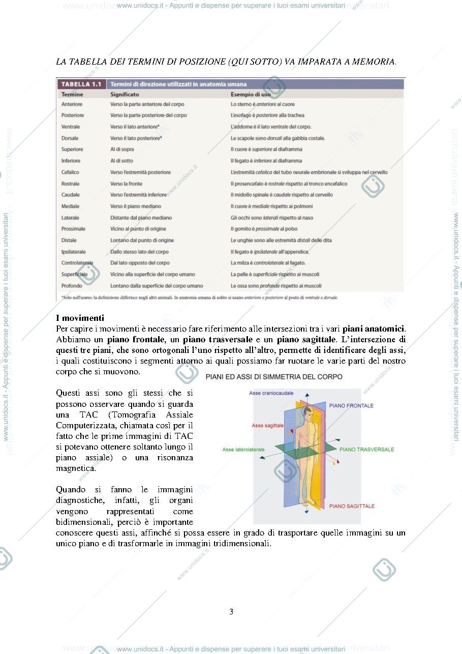 Anteprima pagina 3 — ANATOMIA INTRODUZIONE