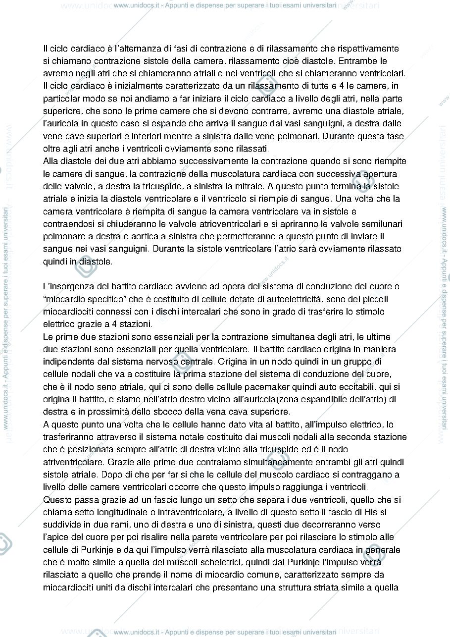Anteprima pagina 1 — ciclo cardiaco, cuore, vene, arterie e aorta