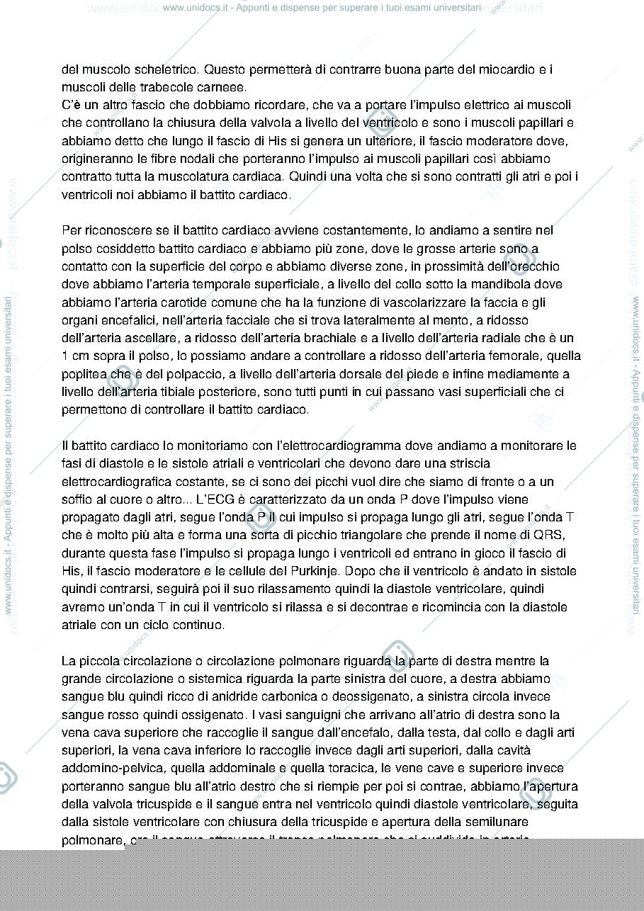 Anteprima pagina 2 — ciclo cardiaco, cuore, vene, arterie e aorta