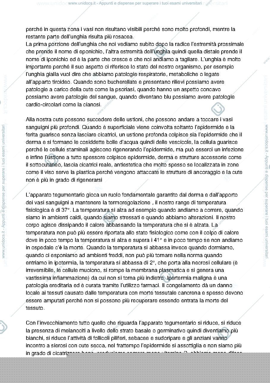 Anteprima pagina 2 — il cuore e il suo sistema di conduzione