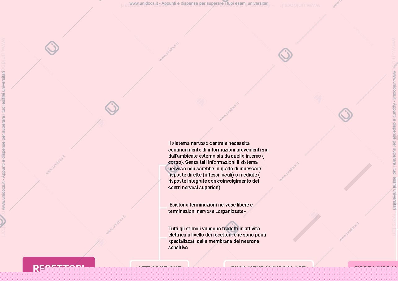 Anteprima pagina 1 — recettori