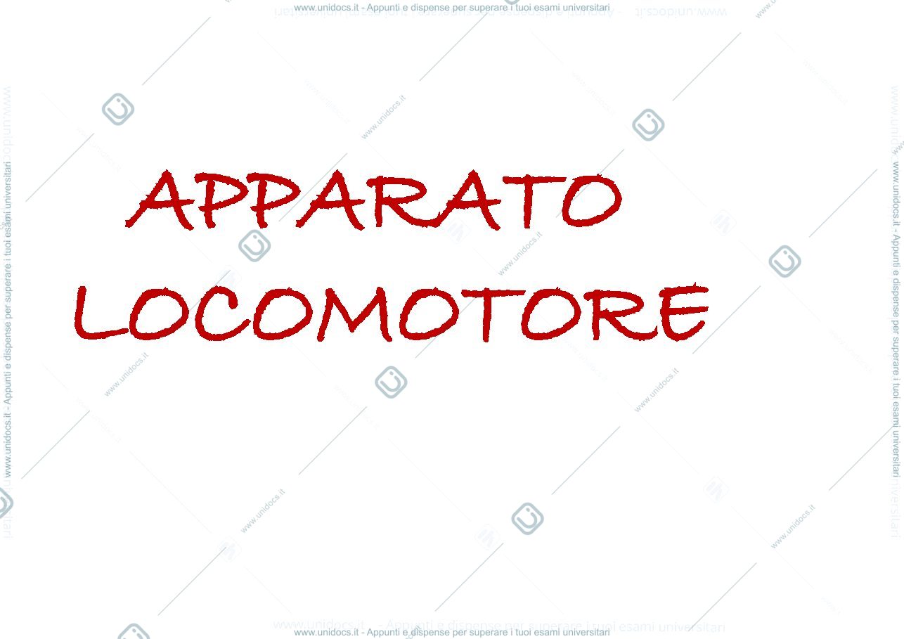 Anteprima pagina 1 — Locomotore