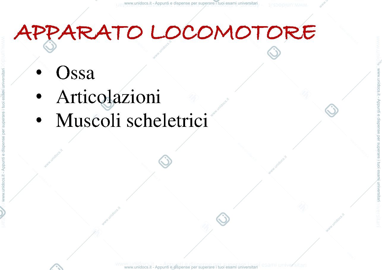 Anteprima pagina 2 — Locomotore