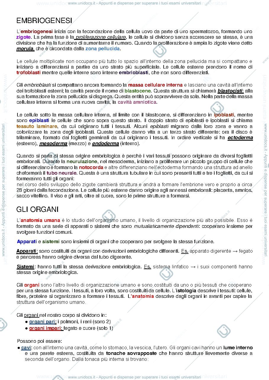 Anteprima pagina 1 — ANATOMIA