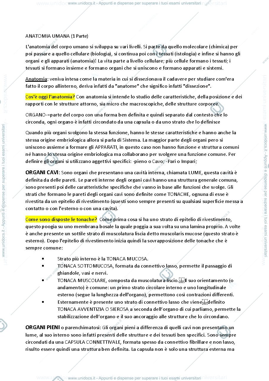 Anteprima pagina 1 — SBOBINA ANATOMIA