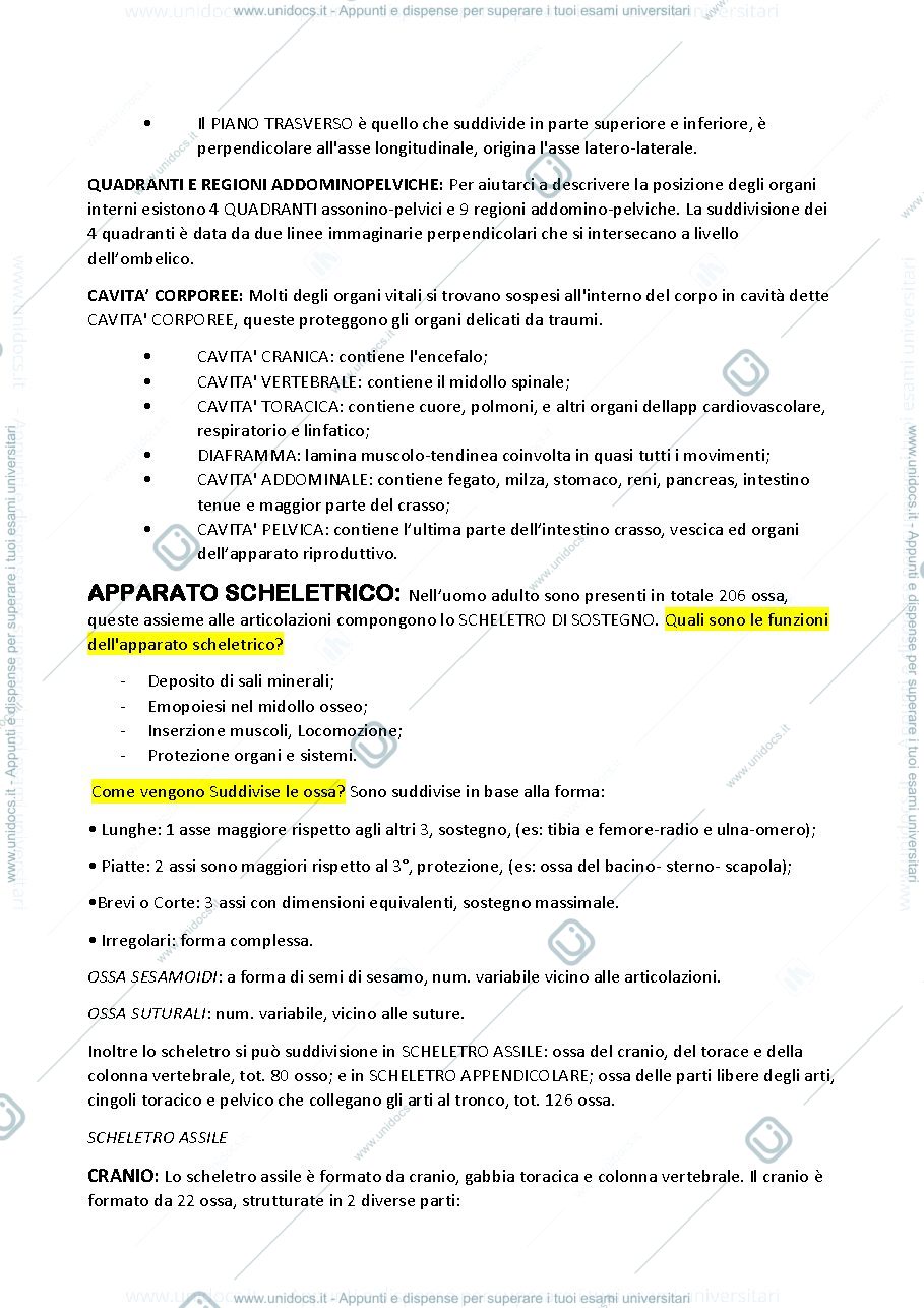 Anteprima pagina 3 — SBOBINA ANATOMIA