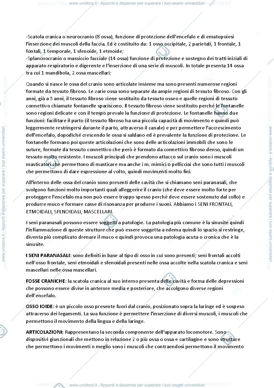 Anteprima pagina 4 — SBOBINA ANATOMIA