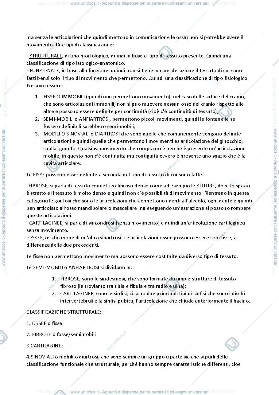 Anteprima pagina 5 — SBOBINA ANATOMIA