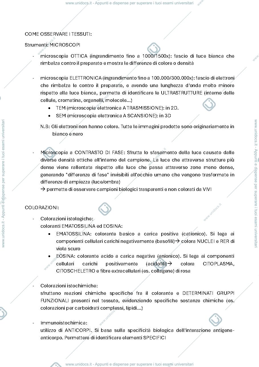 Anteprima pagina 2 — istologia