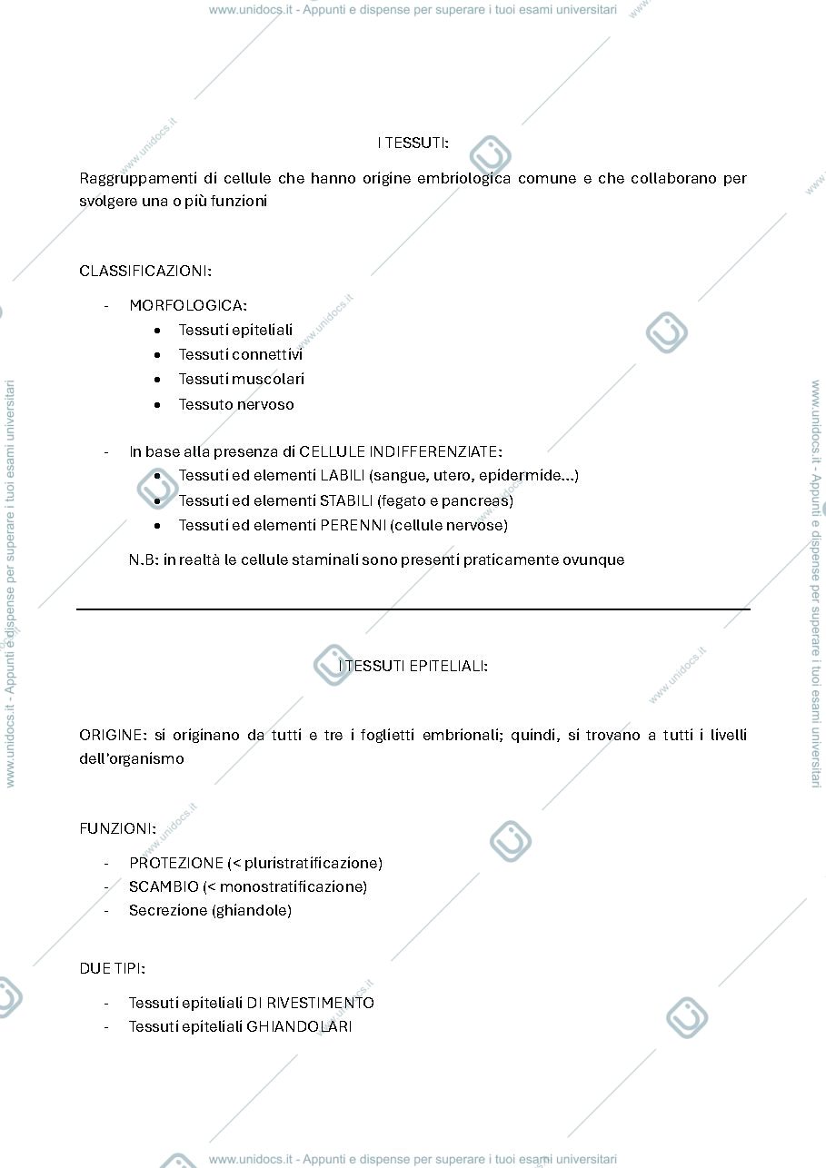 Anteprima pagina 3 — istologia