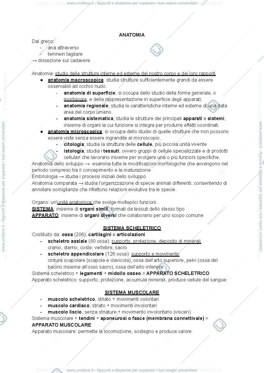Anteprima pagina 1 — appunti anatomia
