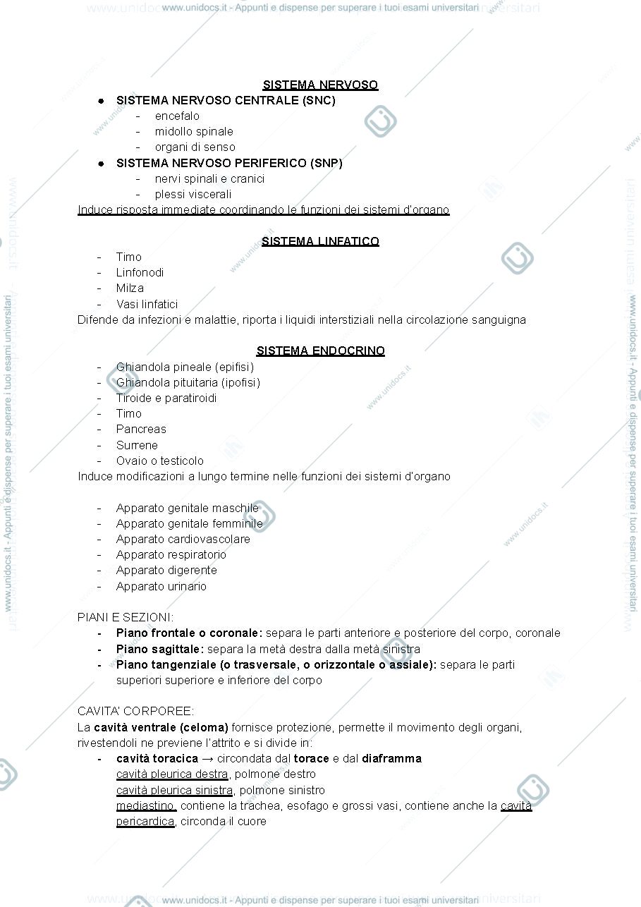 Anteprima pagina 2 — appunti anatomia