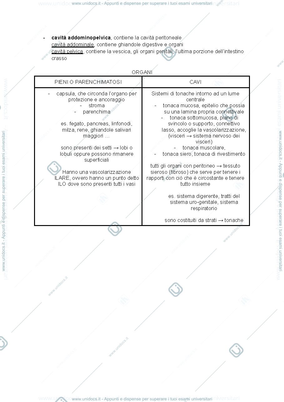 Anteprima pagina 3 — appunti anatomia