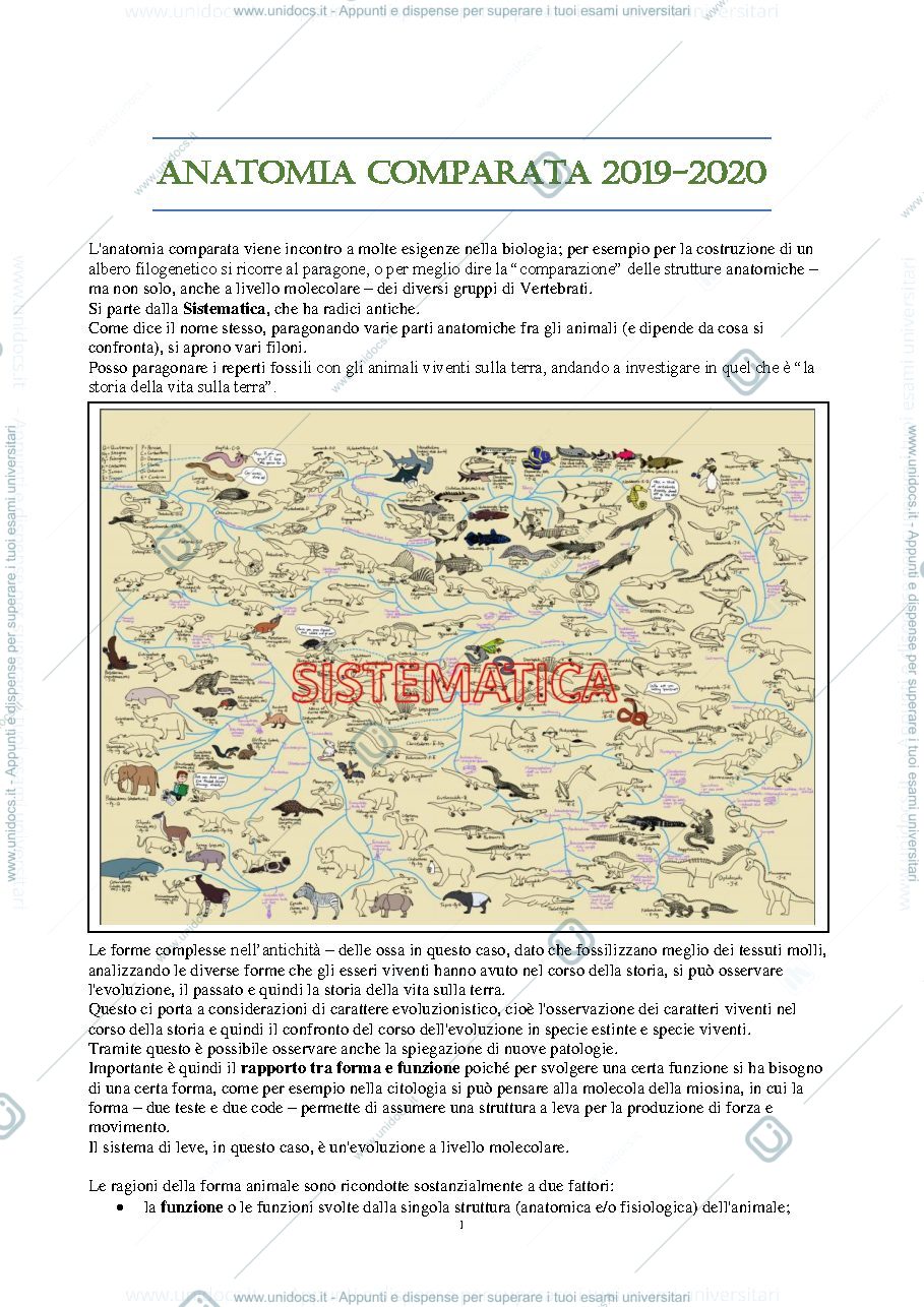 Anteprima pagina 1 — ANATOMIA COMPARATA (AA.2019-2020) - F. Vanzi 
