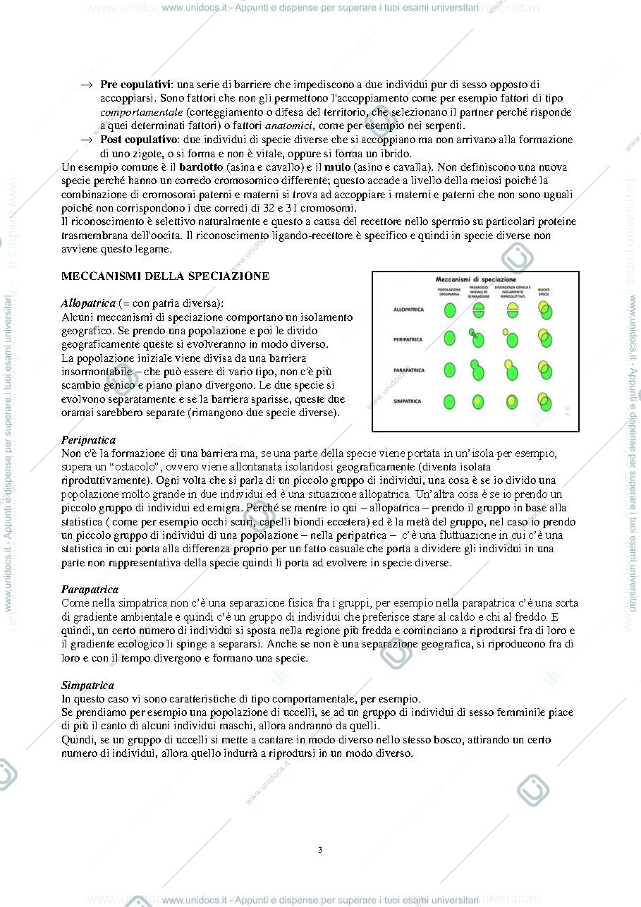 Anteprima pagina 3 — ANATOMIA COMPARATA (AA.2019-2020) - F. Vanzi 